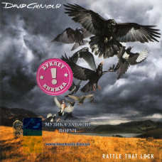 Музичний сд диск DAVID GILMOUR Rattle that lock (2015) (audio cd)