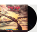 Вінілова платівка DEEP PURPLE Stormbringer (1974) Vinyl (LP Record)