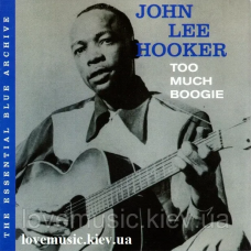 Музичний сд диск JOHN LEE HOOKER Too much boogie (2006) (audio cd)