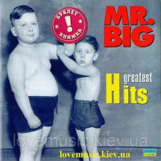 Музичний сд диск MR. BIG Greatest hits (2004) (audio cd)