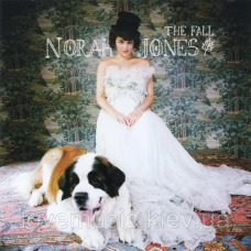 Музичний сд диск NORAH JONES The fall (2009) (audio cd)