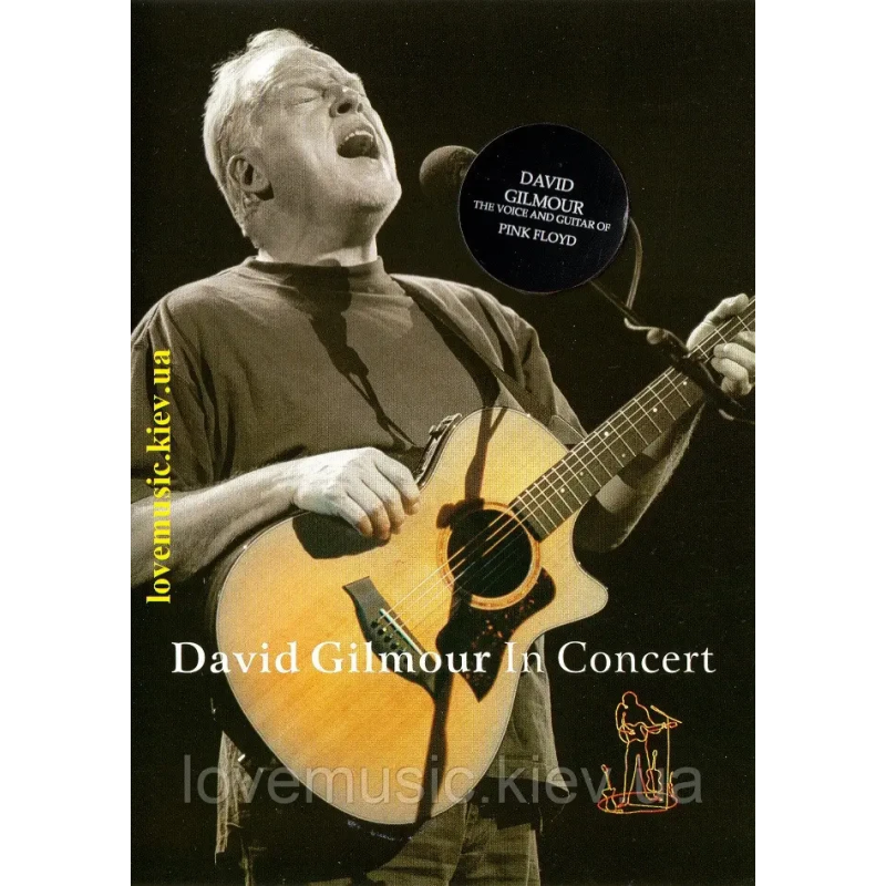 Відео диск DAVID GILMOUR In concert (2002) (dvd video)