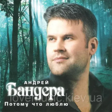 Музичний сд диск АНДРЕЙ БАНДЕРА Потому что люблю (2007) (audio cd)