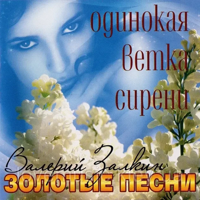 Музичний сд диск ВАЛЕРИЙ ЗАЛКИН Золотые песни (2008) (audio cd)