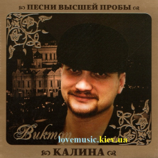 Музичний сд диск ВИКТОР КАЛИНА Песни высшей пробы (2010) (audio cd)