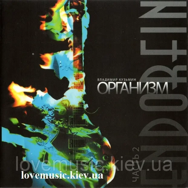 Музичний сд диск ВЛАДИМИР КУЗЬМИН EndOrFin 2. Организм (2013) (audio cd)