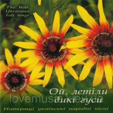 Музичний сд диск ОЙ, ЛЕТІЛИ ДИКІ ГУСИ (2005) (audio cd)