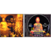Музичний сд диск BUDDHA-BAR IX (2007) (audio cd)